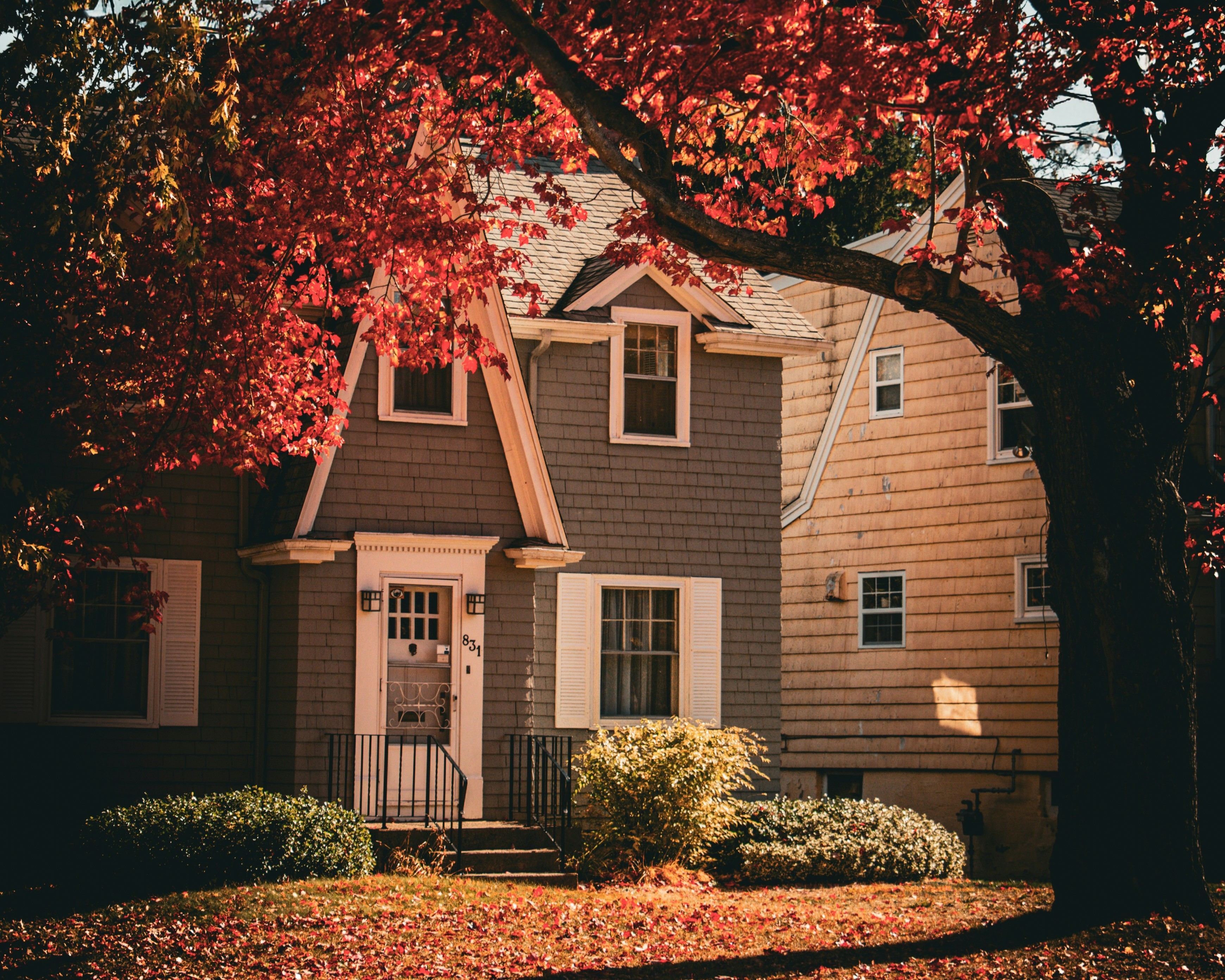 Cozy house surrounded by vibrant autumn foliage