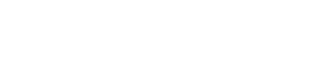 Footer logo icon