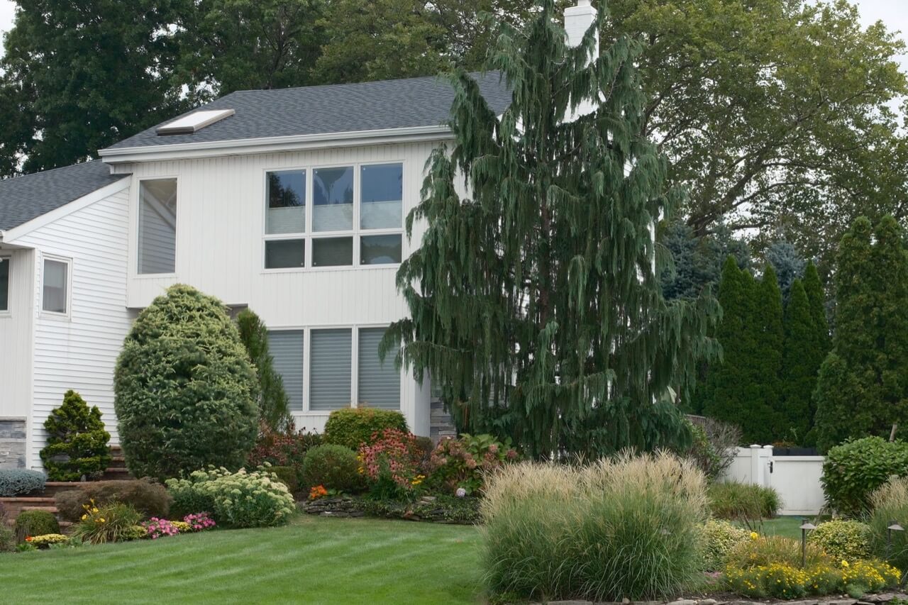 A two-story white suburban house with large windows and gray shingle roof behind a professionally landscaped front yard